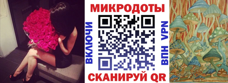 KRAKEN   Билибино  Псилоцибиновые грибы GOLDEN TEACHER 